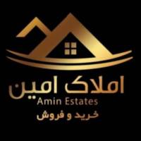 امین عبدی پروفایل