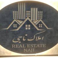 عبدالله استوی پروفایل