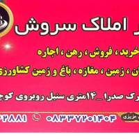 سیاوش عزیزی پروفایل
