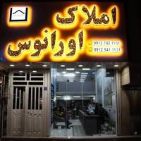 شاهین پروفایل