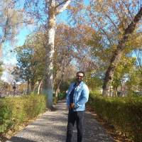 مجتبی افشار پروفایل
