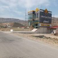 مسعود محمد حسینی پروفایل