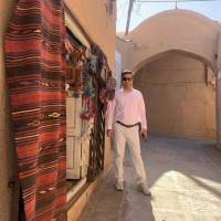 سیروس نادری پروفایل