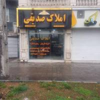 صدیقی پروفایل