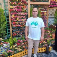 سید قاسم تیموری پروفایل