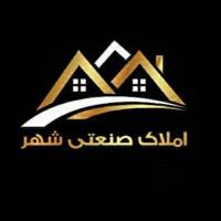 داوود حاتمی  پروفایل