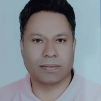 مجید اسدی فردی پروفایل