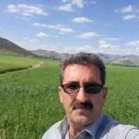 جلال امیرزادگان پروفایل