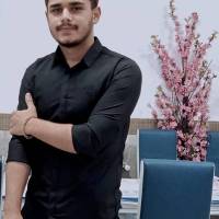 محمد ربیعی پروفایل