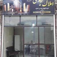مشاور علی مریدی پروفایل