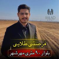 مـــیـلــآد حــمـــیــدی پروفایل