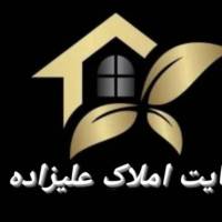 امیرمحمد رضائی  پروفایل