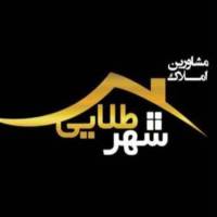 علیرضا سالاروند پروفایل