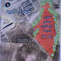 سجاد ذبیحی پروفایل