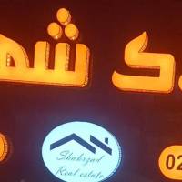 نیکزاد قاسمی  پروفایل