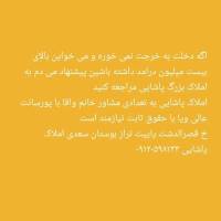 هادی پاشایی پروفایل