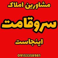 فرید سروقامت پروفایل