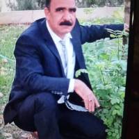 علی حاجی پور ایران باستان پروفایل