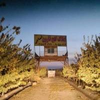 املاک گنج قارون استاجی  پروفایل