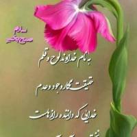 املاک خلیج همیشه فارس پروفایل