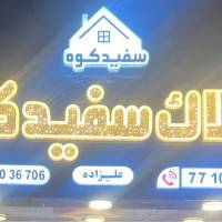 محمد علیزاده پروفایل