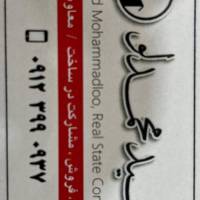 سعید محمدلو پروفایل
