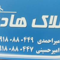 هادی امیراحمدی پروفایل