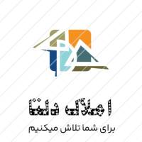سیدمحمدمهدی حقگو پروفایل