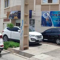 بردیا شهریاری پروفایل