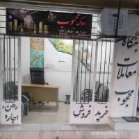 محمد محجوب پروفایل
