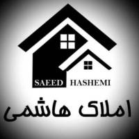 سیدهاشــــمـی پروفایل