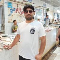 مهدی کاووسی پروفایل