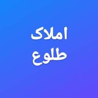 میثم مرادی پروفایل