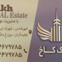 سعید ابراهیمی پروفایل
