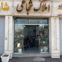 anjomshoa پروفایل