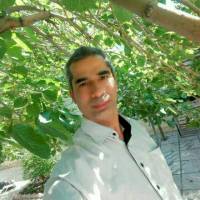 HAMID TAHERI پروفایل