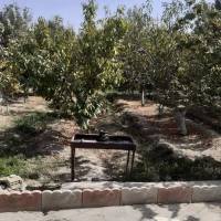 معرفی پروفایل