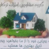 فاطمه حسنزاده پروفایل
