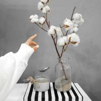 شادی صفیری پروفایل