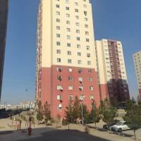 علی فرد پروفایل