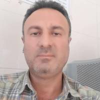 مشاور محمود اکبری پروفایل