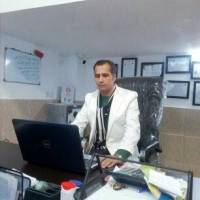 هادی پورمحرمی پروفایل