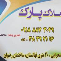 محمد باقر محمدی پروفایل