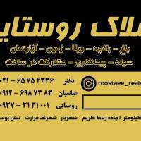 امیر حسین روستایی پروفایل