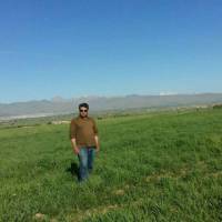 صریحی پروفایل