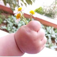 آژانس املاک کیوان پروفایل